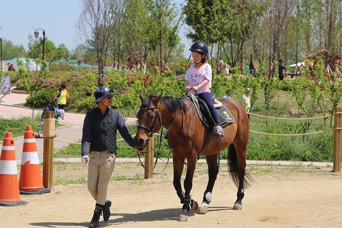 Private Full Day Tour Anseong Farm Land With Gwangmyeong Cave - Accessibility