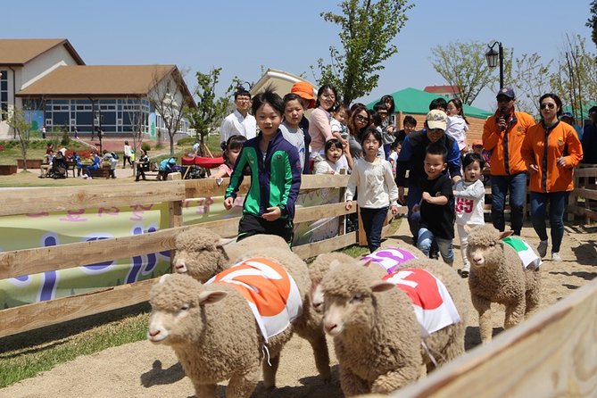 Private Full Day Tour Anseong Farm Land With Gwangmyeong Cave - Booking Information