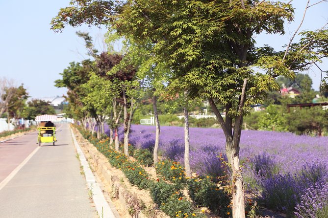 Private Full Day Tour Anseong Farm Land With Gwangmyeong Cave - Exploring Anseong Farm Land