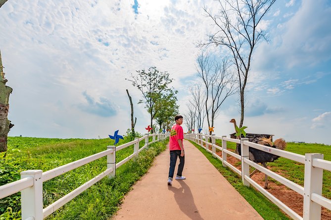 Private Full Day Tour Anseong Farm Land With Gwangmyeong Cave - Inclusions