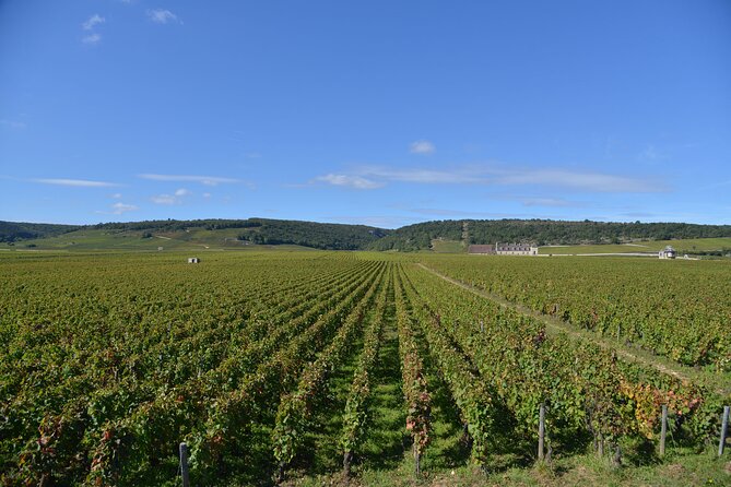 Private Full Day Tour Burgundy Gourmet - Meeting and Pickup