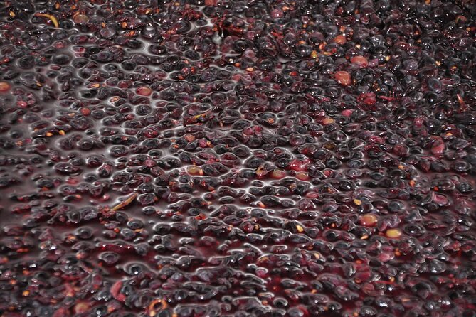 Private Full Day Tour Burgundy Gourmet - Additional Details