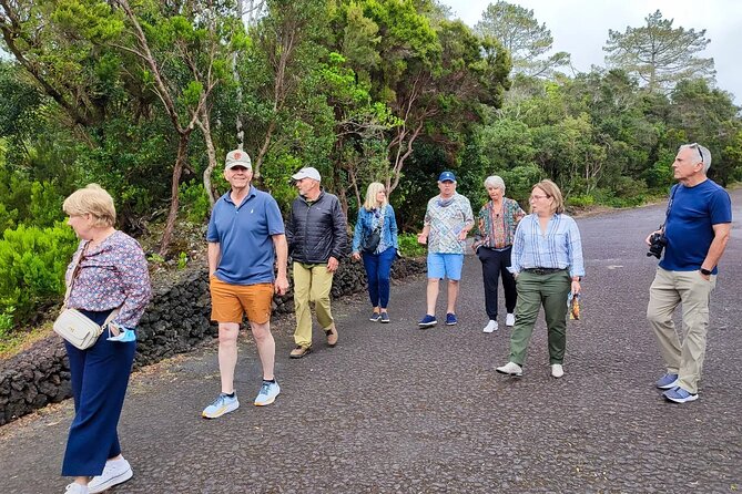 Private Full Day Tour - Faial Island (Up to 8 People) - Accessibility and Participation