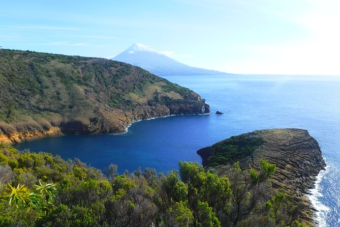 Private Full Day Tour - Faial Island (Up to 8 People) - Cancellation and Refund Policy