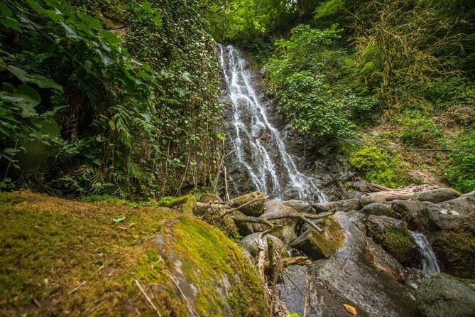 Private Full Day Tour From Batumi to Waterfalls - Tour Duration and Accessibility