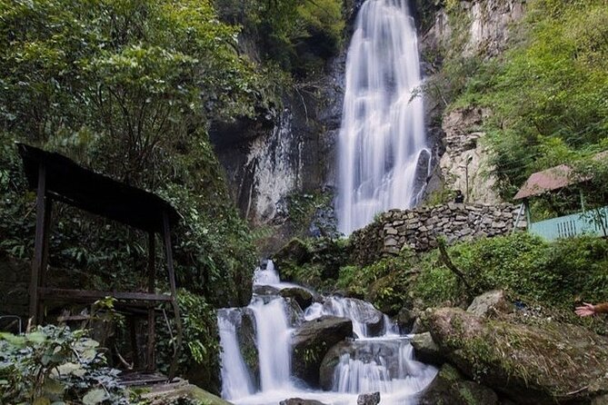 Private Full Day Tour From Batumi to Waterfalls - Traveler Feedback and Recommendations