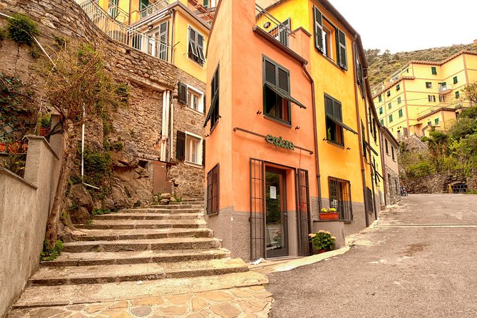 Private Full Day Tour From Genova Pier: Cinque Terre - Accessibility