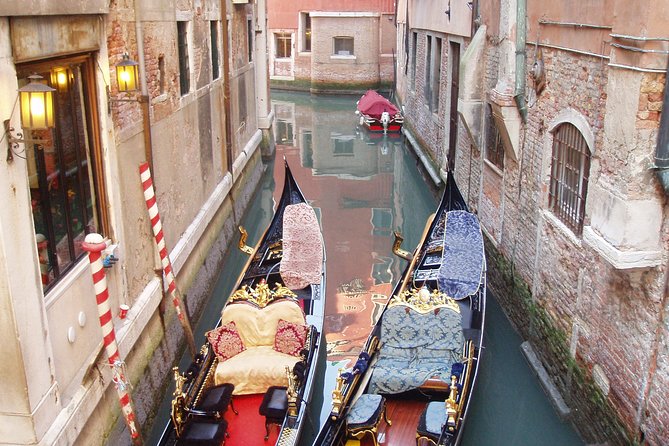 Private Full Day Tour From Milan to Venice With Local Tour Guide and Fast Train - Accessibility and Reviews