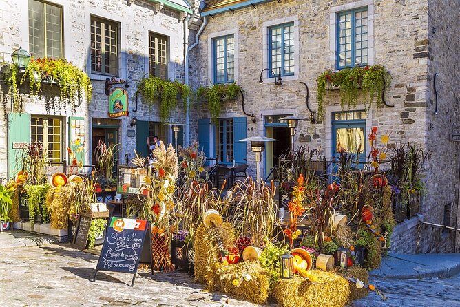 Private Full Day Tour From Montreal to Quebec and Montmorency Falls - Knowledgeable Local Guide