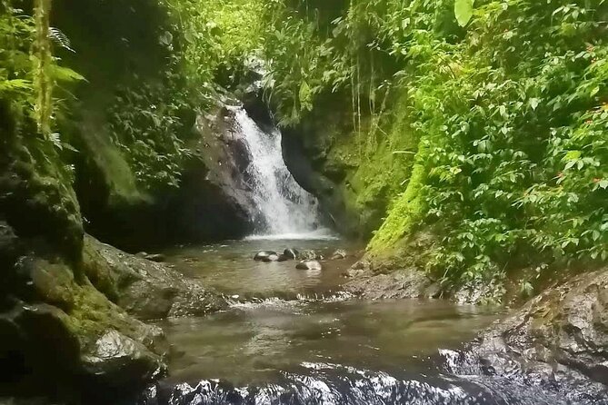 Private Full Day Tour From Quito to Mindo - Key Points