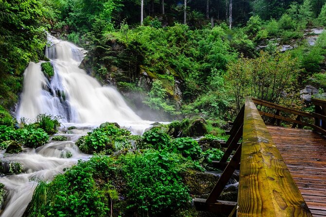 Private Full Day Tour in Badens Black Forest - Highlights of the Tour