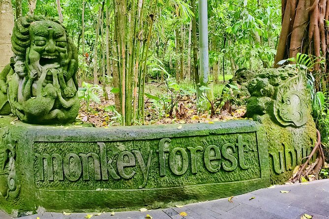 Private Full-Day Tour in Bali & FREE WIFI - Additional Services