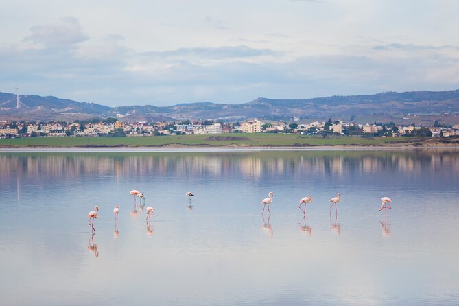 Private Full-Day Tour in Larnaca With Hotel Pick up - Private Tour Experience