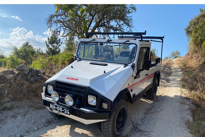 Private Full Day Tour in Madeira - Transportation and Logistics