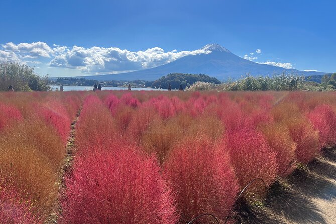 Private Full Day Tour in Mt. Fuji With Pickup - Key Points