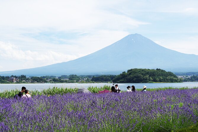 Private Full Day Tour in Mt. Fuji With Pickup - Tour Accessibility