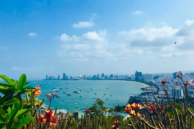 Private Full Day Tour in Pattaya DT3 - Pickup and Accessibility
