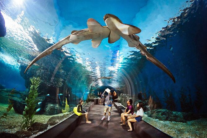 Private Full Day Tour in Pattaya DT3 - Booking Information
