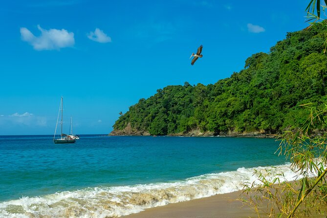 Private Full Day Tour in Pirates Bay From Trinidad and Tobago - Inclusions and Pickup