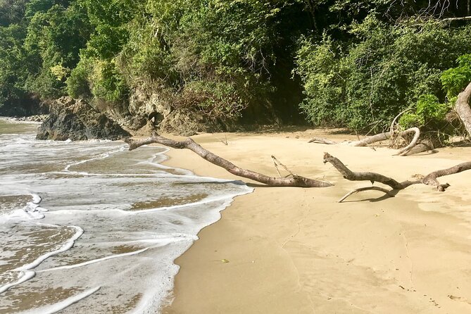 Private Full Day Tour in Pirates Bay From Trinidad and Tobago - Snorkeling Experience