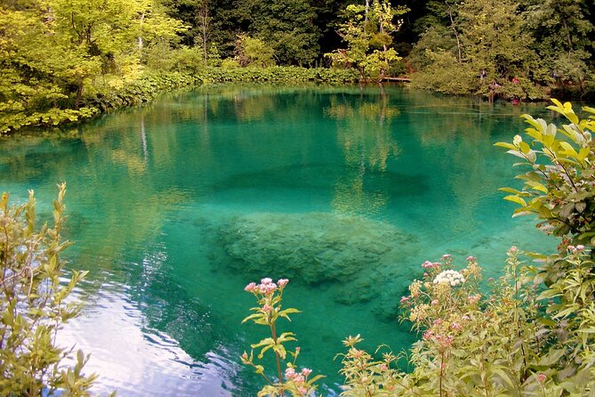 Private Full-Day Tour in Plitvice Lakes National Park From Zadar - Knowledgeable Guides