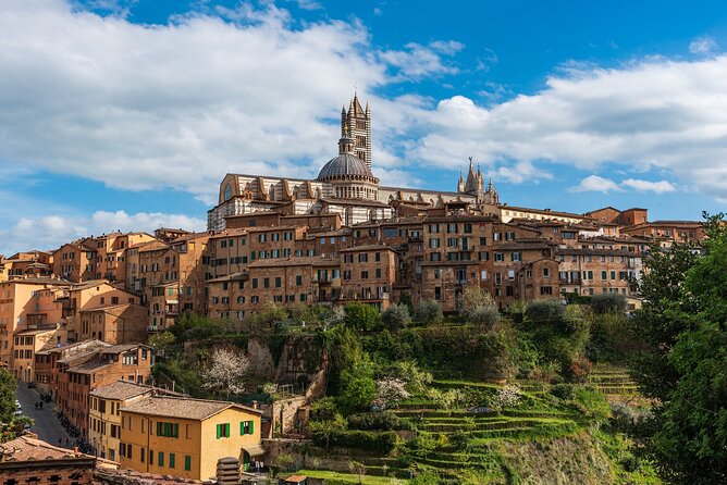Private Full Day Tour in Siena & San Gimignano From Florence - Day Trip Highlights