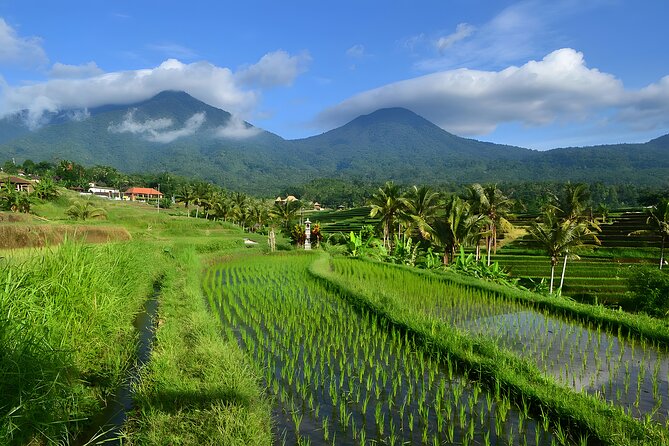 Private Full-Day Tour: Jatiluwih and Tanah Lot Sunset Trip - Exploring Jatiluwih