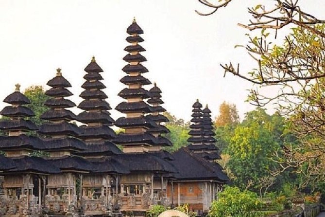 Private Full-Day Tour Jatiluwih Rice Terrace and Tanah Lot Temple - Additional Tour Details