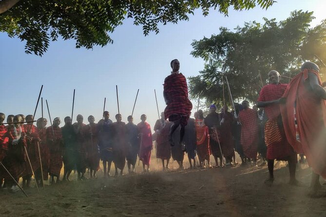 Private Full-Day Tour Maasai Village and Kikuletwa Hot Spring - Inclusions