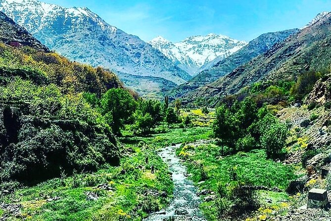 Private Full-Day Tour of Agafay Desert and Atlas Mountains - Customer Reviews