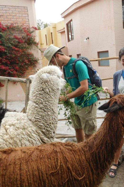 Private Full-Day Tour of Arequipa With Airport Pickup - Plaza De Yanahuara
