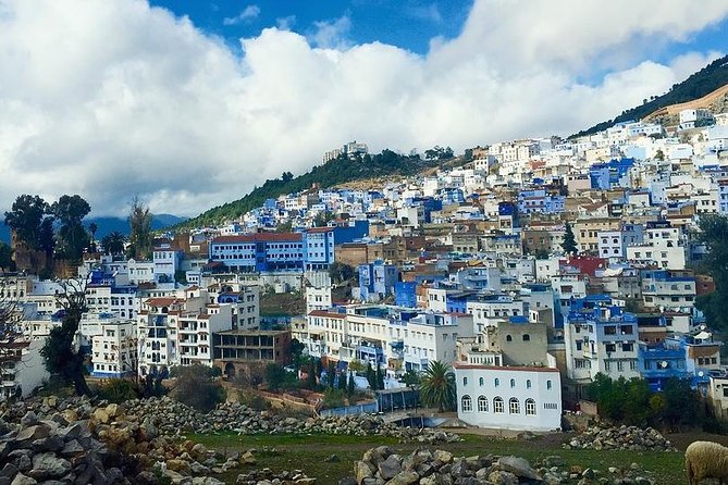 Private Full Day Tour of Chefchaouen From Malaga - Traveler Experiences