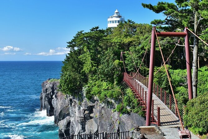 Private Full Day Tour of Izu Peninsula With Hotel Pickup - Itinerary and Activities