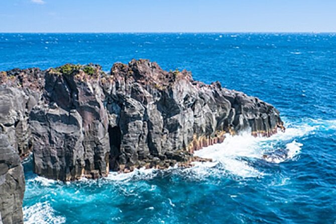 Private Full Day Tour of Izu Peninsula With Hotel Pickup - Inclusions and Exclusions