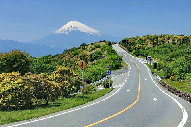 Private Full Day Tour of Izu Peninsula With Hotel Pickup - About the Izu Peninsula