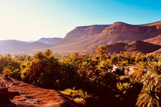 Private Full-Day Tour of Ouarzazate and Oasis Fint - Itinerary Highlights