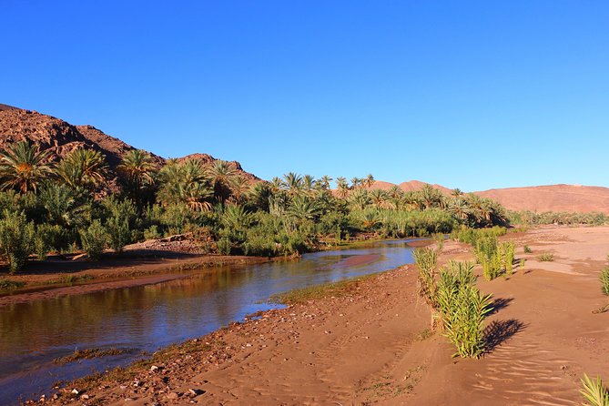 Private Full-Day Tour of Ouarzazate and Oasis Fint - Scenic Locations