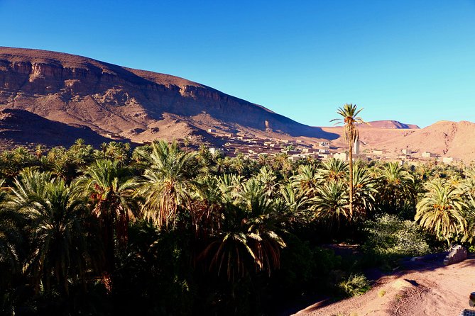 Private Full-Day Tour of Ouarzazate and Oasis Fint - Booking and Cancellation Policy