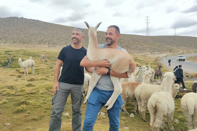 Private Full Day Tour of Ruta Del Sol From Puno to Cusco - Reviews and Recommendations