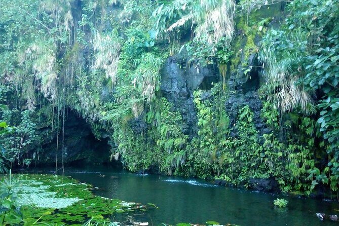 Private Full Day Tour of Tahiti - Who Will Love This Tour?