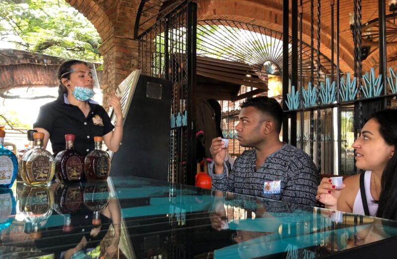 Private Full Day Tour of Tequila and Guachimontones - Key Points