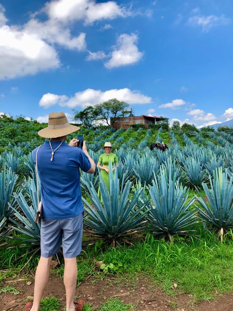 Private Full Day Tour of Tequila and Guachimontones - Itinerary Highlights