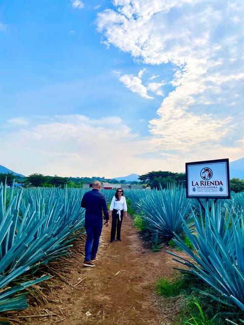 Private Full Day Tour of Tequila and Guachimontones - Whats Included