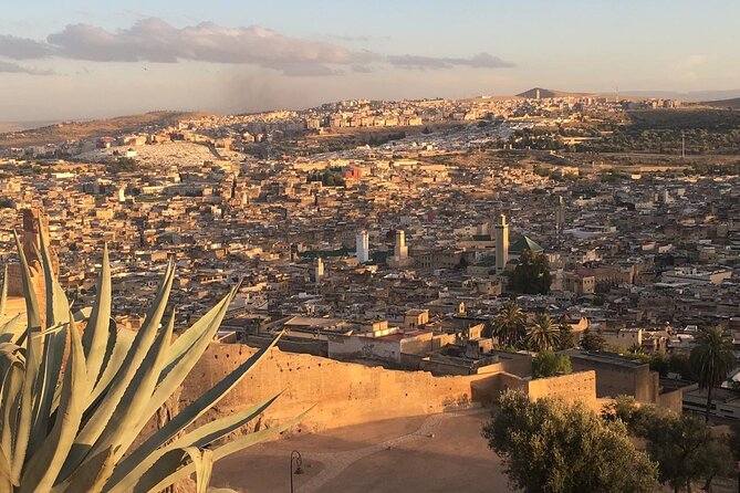 Private Full-Day Tour of the Authentic Medina of Fez - Pricing
