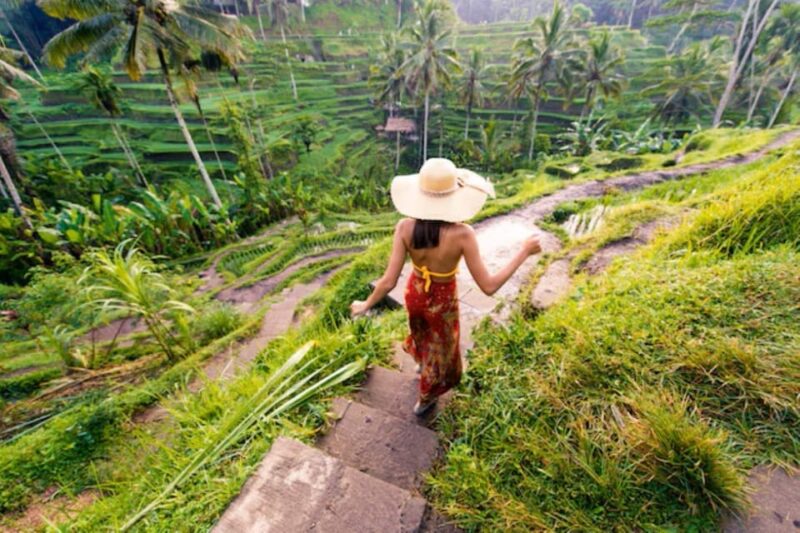 Private Full Day Tour of Ubud Highlights With Entry Ticket - Itinerary Highlights
