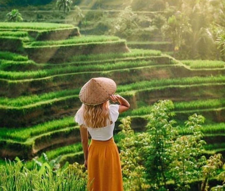 Private Full Day Tour of Ubud Highlights With Entry Ticket - Important Information