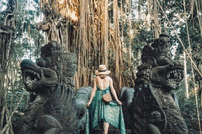 Private Full Day Tour of Ubud Highlights With Entry Ticket - Tirta Empul and Tegenungan Waterfall