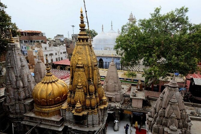 Private Full-Day Tour of Varanasi Including the Kashi Darshan - Sarnath