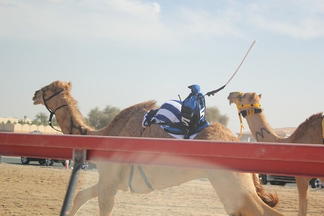 Private Full-Day Tour Qatar North And West - Tour Accessibility