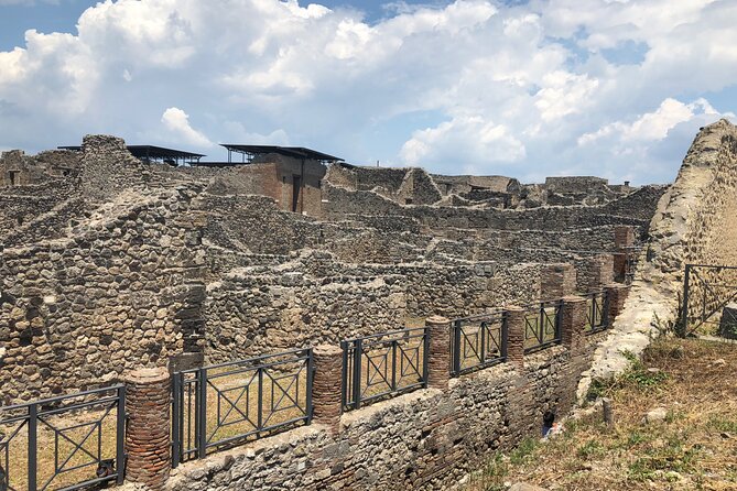 Private Full Day Tour Ruins of Pompei and Wine Tasting Experience - Booking Details and Policies